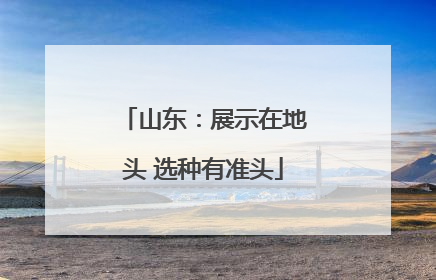 山东：展示在地头 选种有准头